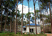 Modernes Haus aus Glas, Holz und Stein mit einem Dach aus Wellzink in einem Waldgebiet