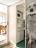 Kitchenette with oversized imagery of family dog