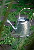 Watering can on pathway made with round embedded logs