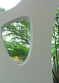 Garden view through window with stucco finish