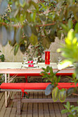 Bench seats with red cushions in walled garden patio