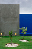 Setzlinge im Garten mit oberirdischem Schwimmbecken mit vier blau gestrichenen Wänden