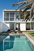 White building exterior with poolside Sunloungers under palm tree