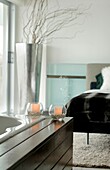 Bathtub in modern bedroom, Pacheco, Buenos Aires, Argentinien