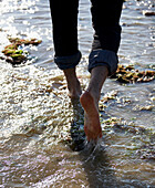 Rear view of man walking barefoot in shallow water 