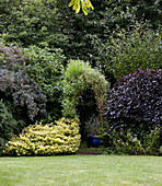 Shrubs and trees edge garden lawn