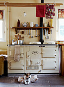 Small dog on tiled floor with Aga in country kitchen