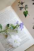Purple and white flower heads on open book