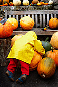 Child in raincoat with pumpkin at summer fete