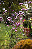 Sunlit flower border in back garden with grass