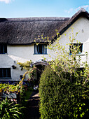 Vorderer Weg zum reetgedeckten Cottage in Devon