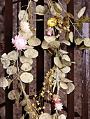 Trockenblumengirlande Honesty (Lunaria annua) Essex England UK