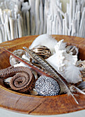 Seashells and feathers in wooden bowl Hampshire home England UK