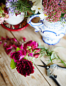 Cut flowers and hug with secateurs in rural Oxfordshire cottage England UK
