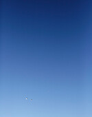 Zwei Möwen fliegen über den klaren blauen Himmel in der Grafschaft Sligo Connacht Irland