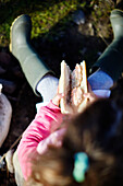 Girls sits eating a salmon baguette in County Sligo Connacht Ireland