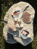 Marshmallows and melted chocolate with seashells on makeshift stone table in County Sligo Connacht Ireland