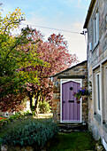 Hängender Korb an fliederfarbener Haustür in steinerner Veranda mit Obstbäumen Yorkshire, England, UK