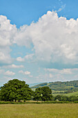 Blick auf Felder und Ackerland in Powys, Wales, UK