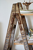 Dried seed heads and books on wooden step ladder in Warwickshire farmhouse, England, UK