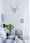 Animal skull wall mounted in bedroom of Edwardian London flat, UK