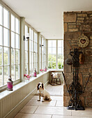 Pet dog in tiled room with uncurtained windows in Northumberland farmhouse, UK