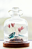 Paper flowers under bell jar on windowsill in Gladestry cottage on South Wales borders