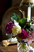 Close-up of flowers in vase