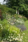 Landhausgarten mit blühenden Blumen