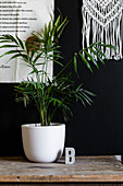 Monochrome pinboard and houseplant with concrete letter B in Colchester home, Essex, UK