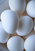 Close up of white eggs