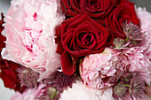 Detail von frischen roten Rosen und rosa Pfingstrosen