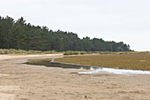 Blick auf einen von Bäumen gesäumten Sandstrand