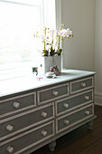 Houseplant on grey painted chest of drawers at sunlit window of Canterbury home England UK