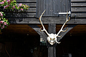 Geweihe an der Außenseite eines Bauernhofs in Iden, Rye, East Sussex, Vereinigtes Königreich