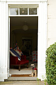 Hund sitzt auf der Türschwelle eines Hauses in Suffolk, England, Vereinigtes Königreich