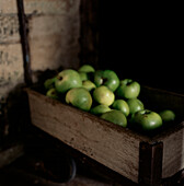 Wooden barrow full of green cooking apples