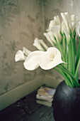 Still life of arum lilies in a vase