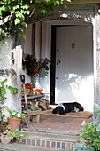 Hund schläft auf der Fußmatte in der Veranda eines Bauernhauses, Vereinigtes Königreich