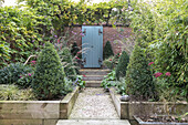 Raised beds with gate and pergola in garden of Victorian terrace Alton UK