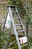 Stufenleiter und Apfelbaum im ummauerten Garten in St Lawrence, Isle of Wight, UK