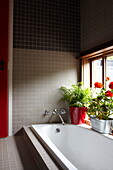 Hauspflanzen am Fenster einer versenkten Badewanne in einem modernen Neubau auf der Isle of Wight