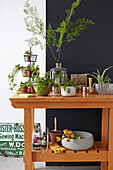 Indoor gardening upcycled potting bench with a mix of vintage ceramics and foliage