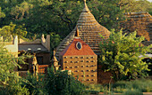 Thatched clay buildings in rural setting