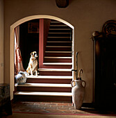 Steintreppe mit Bogen und Hund