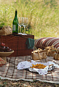Picnic in the fields