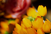 Close-up of floral arrangement