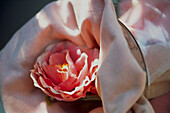 Fabric rose in linen cloth