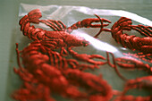 Close up of red silvery embossed paper shrimp decorations