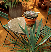 Vintage garden table and chairs with succulent in pot in large summerhouse
